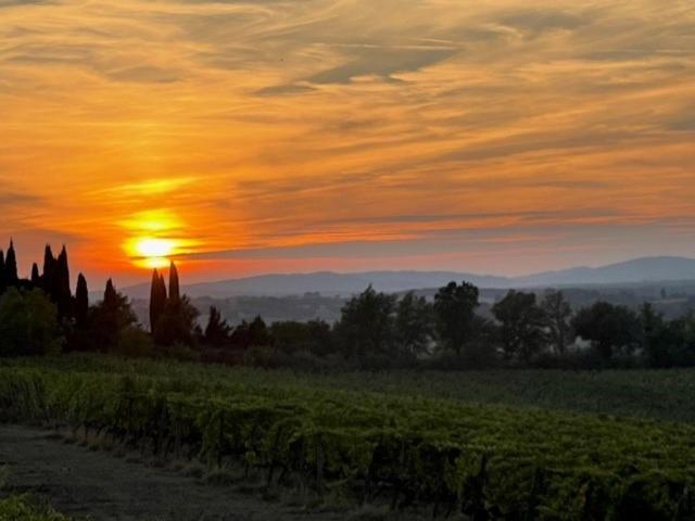 Peccioli Podere Borgaruccio מראה חיצוני תמונה