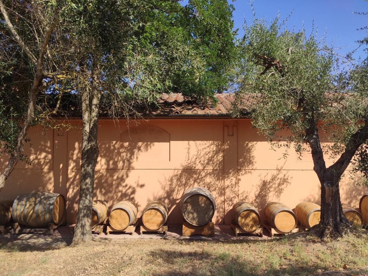 Peccioli Podere Borgaruccio מראה חיצוני תמונה