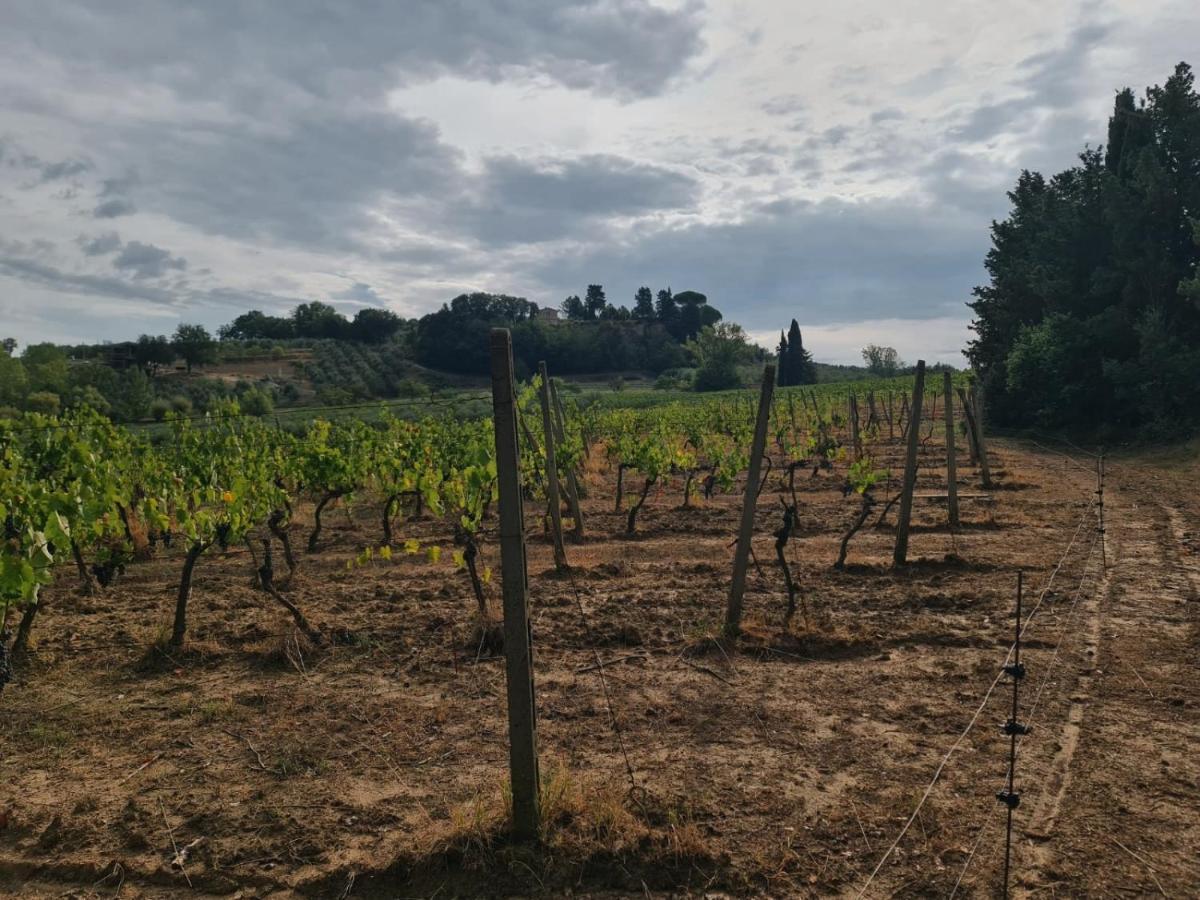 Peccioli Podere Borgaruccio מראה חיצוני תמונה