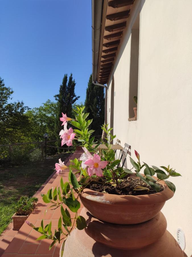 Peccioli Podere Borgaruccio מראה חיצוני תמונה