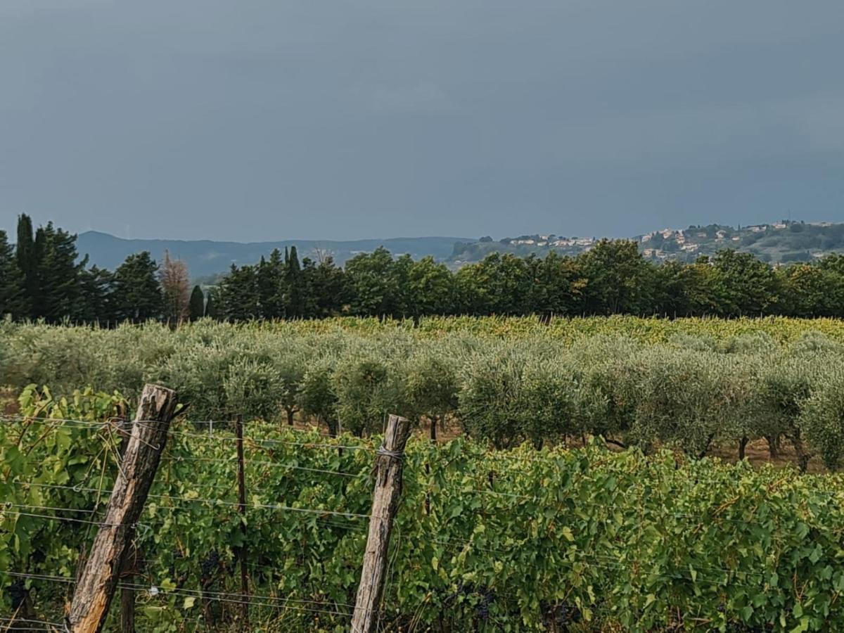 Peccioli Podere Borgaruccio מראה חיצוני תמונה